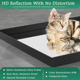 Wall Mounted Makeup Mirror with Unbreakable Glass and Brushed Finish