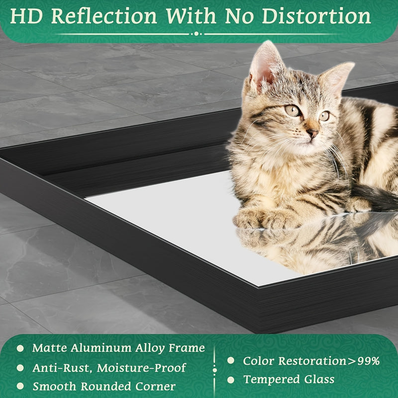 Wall Mounted Makeup Mirror with Unbreakable Glass and Brushed Finish